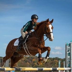 Meet your Posher, Michelle